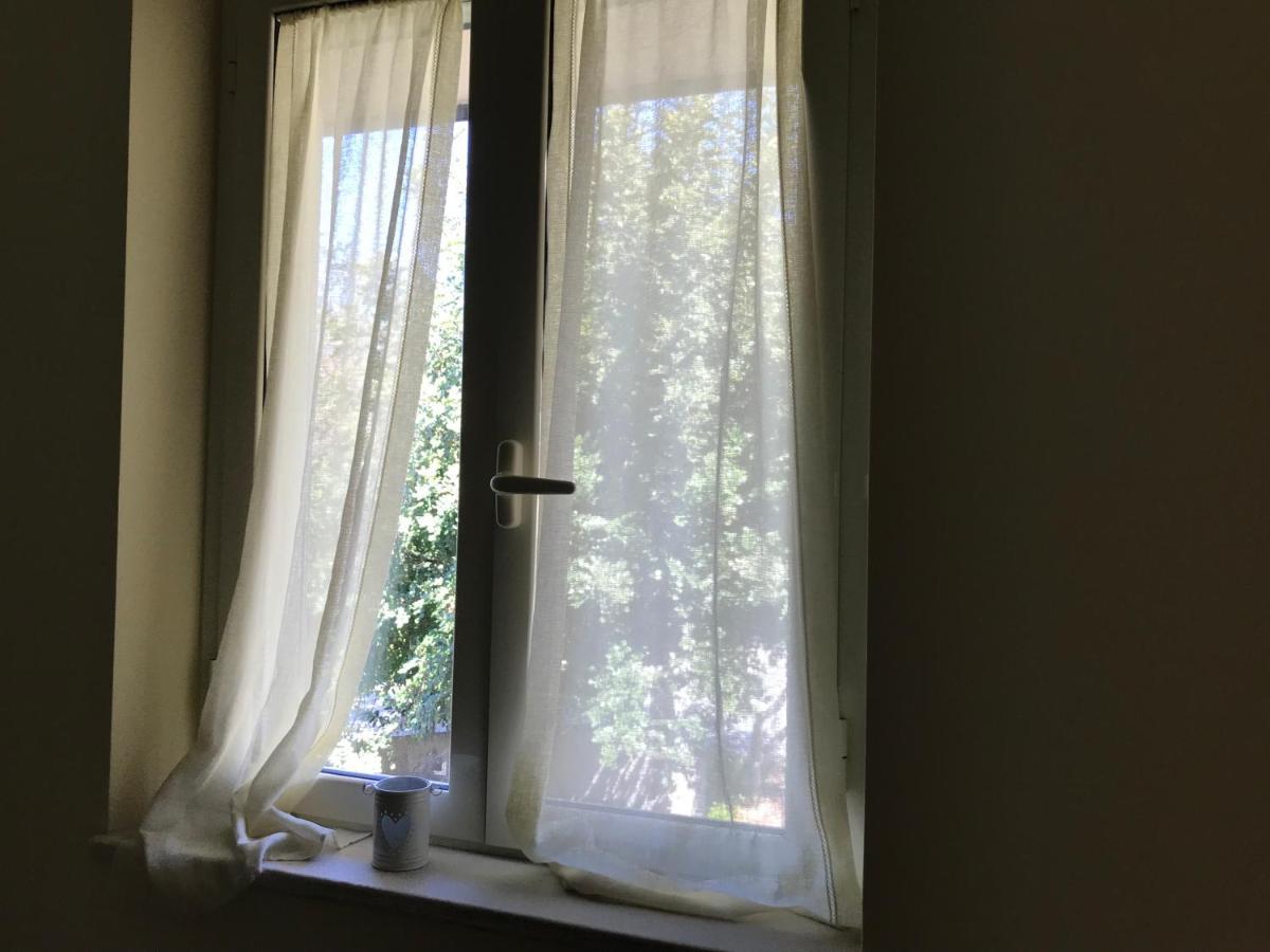 B&B Villa Degli Ulivi Praia a Mare Bagian luar foto