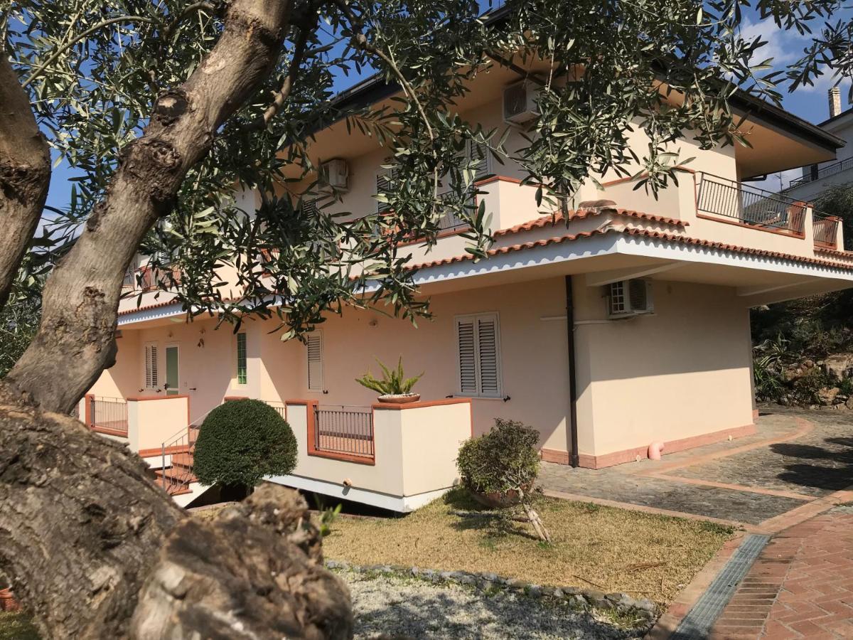 B&B Villa Degli Ulivi Praia a Mare Bagian luar foto