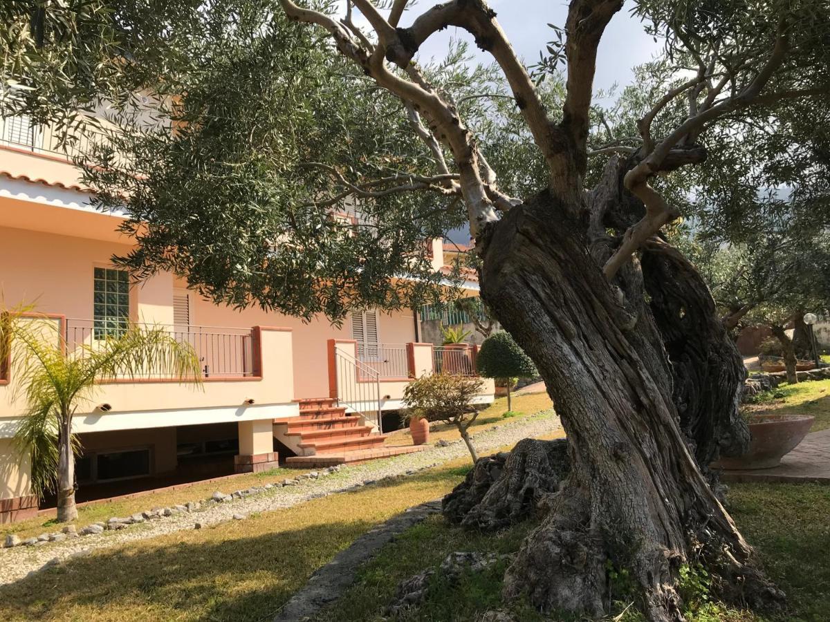 B&B Villa Degli Ulivi Praia a Mare Bagian luar foto