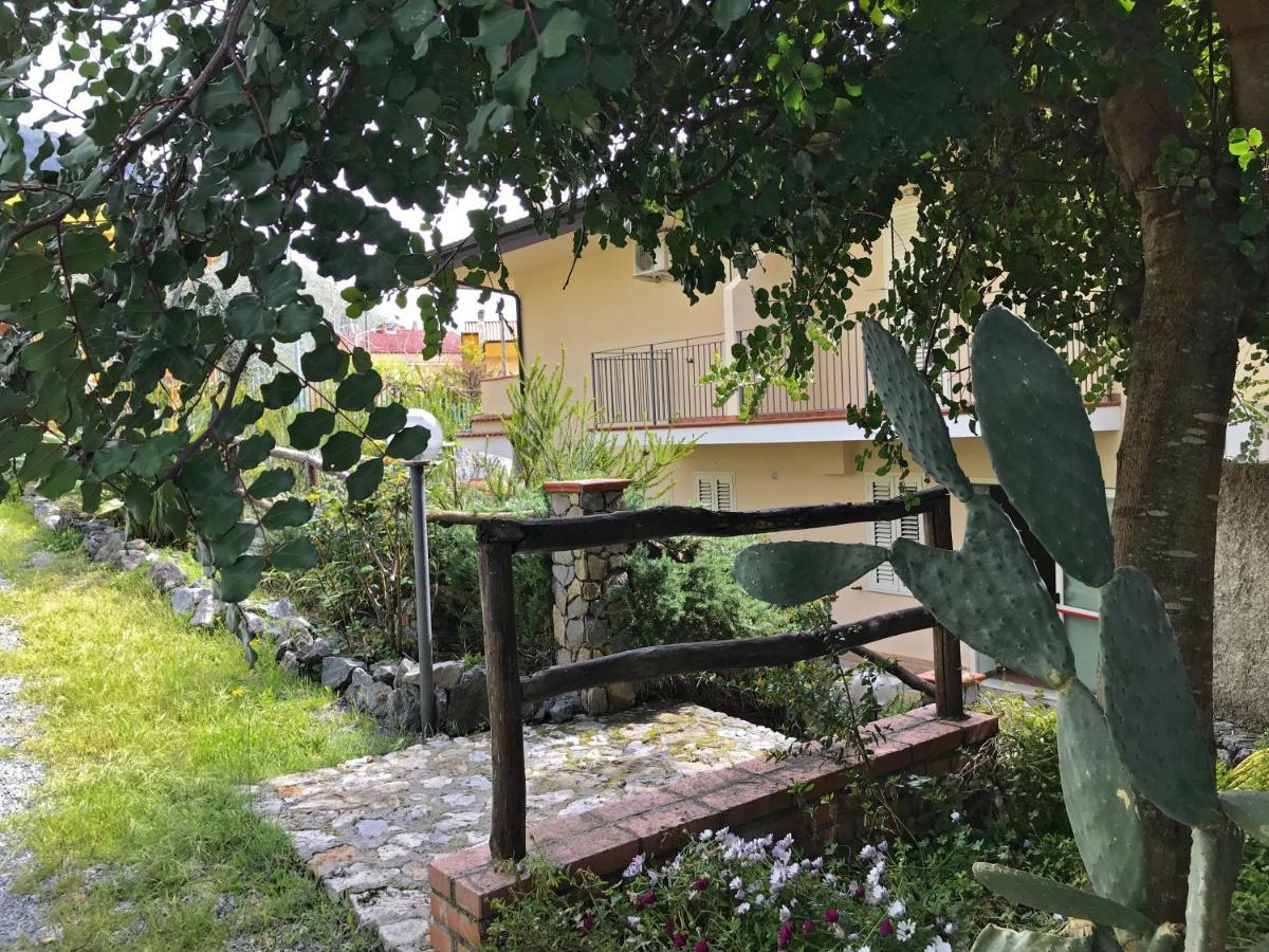 B&B Villa Degli Ulivi Praia a Mare Bagian luar foto