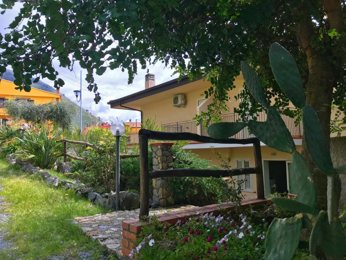 B&B Villa Degli Ulivi Praia a Mare Bagian luar foto