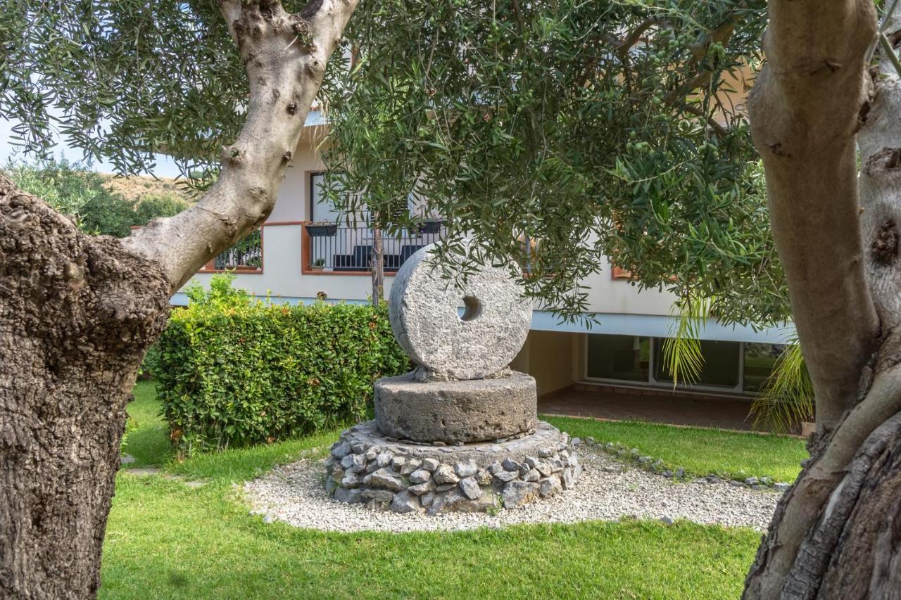 B&B Villa Degli Ulivi Praia a Mare Bagian luar foto