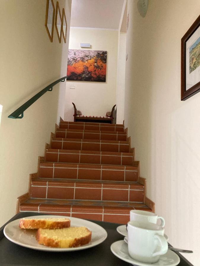 B&B Villa Degli Ulivi Praia a Mare Bagian luar foto